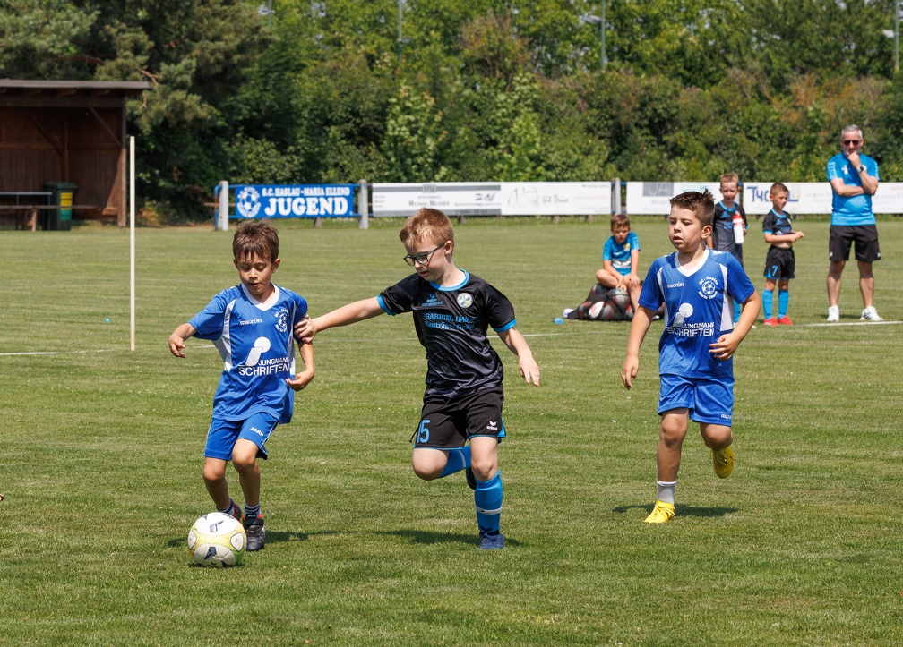 U8 Haslau Sarasdorf (21 von 83)