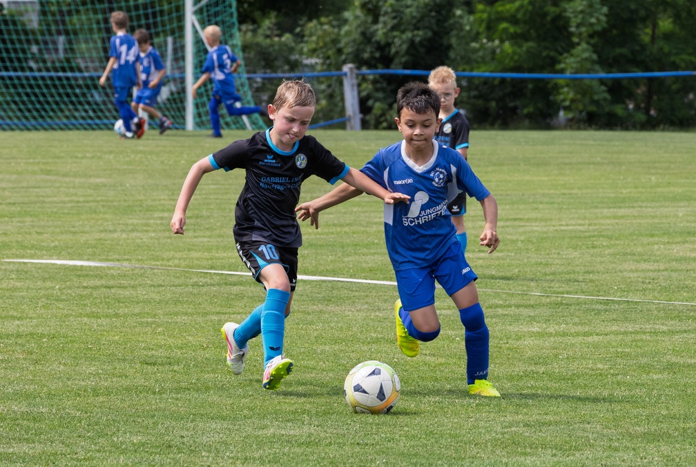 U8 Haslau Sarasdorf (39 von 83)