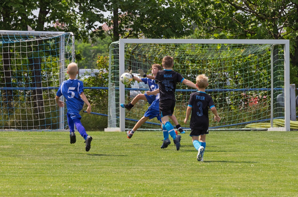 U8 Haslau Sarasdorf (46 von 83)