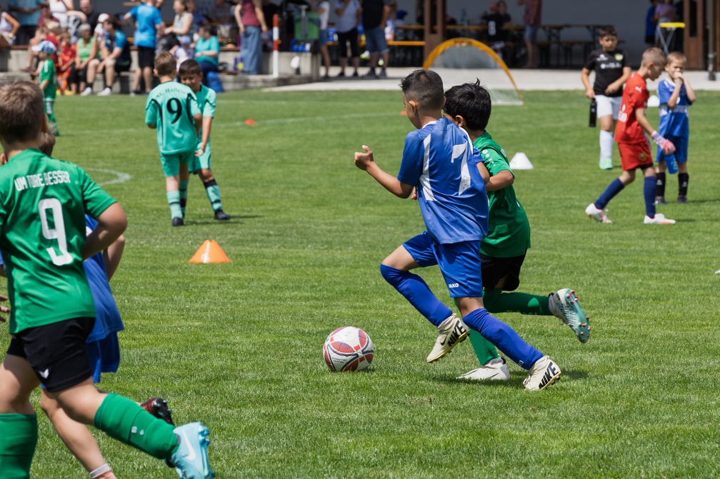U8Haslau Hoeflein-45